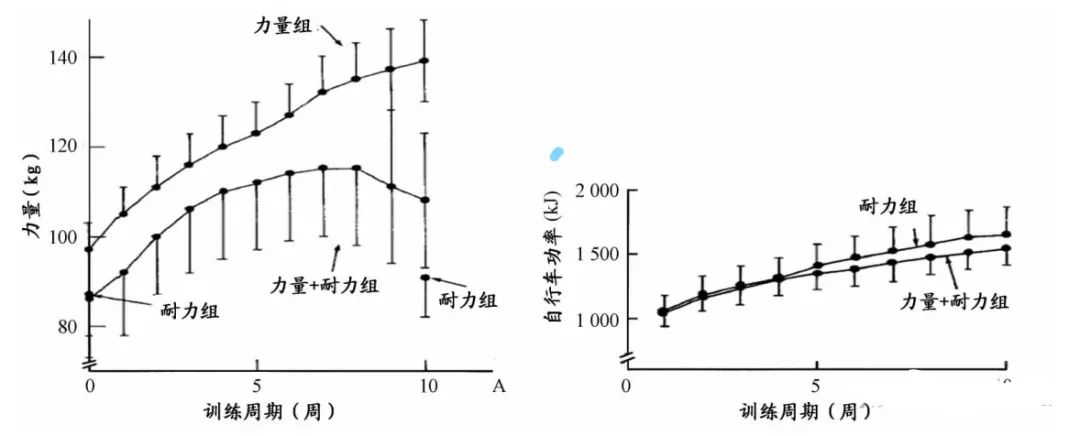 训练器综合计划怎么写_综合训练器使用_综合训练器训练计划