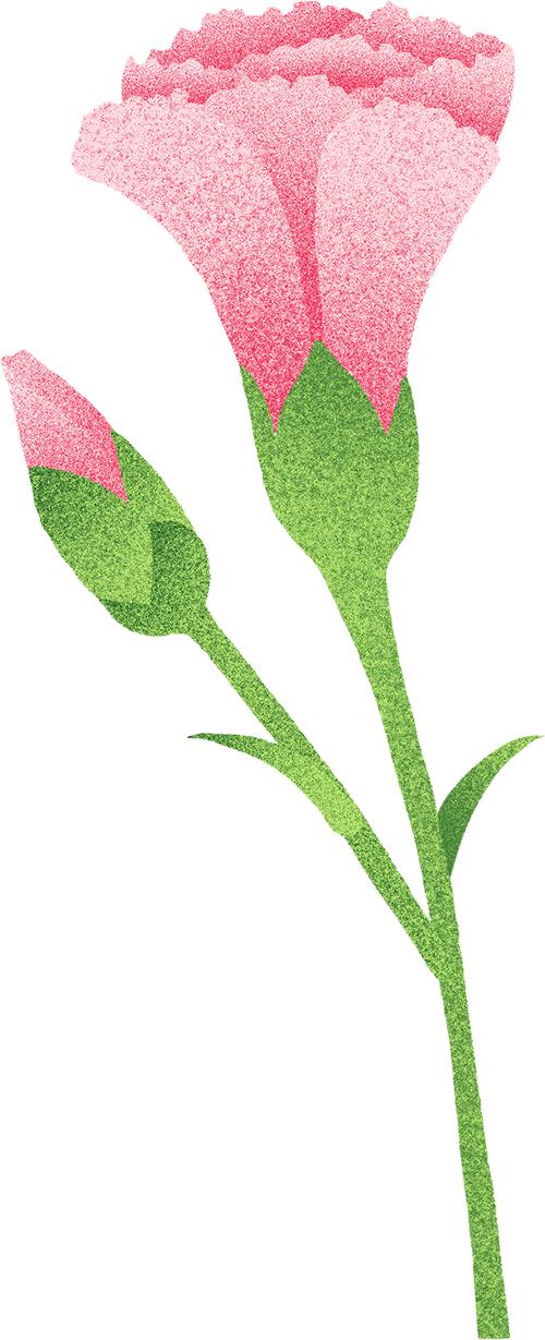 健身操下载_2025年全国妇女广场舞大赛山西站_山西省妇女广场舞比赛