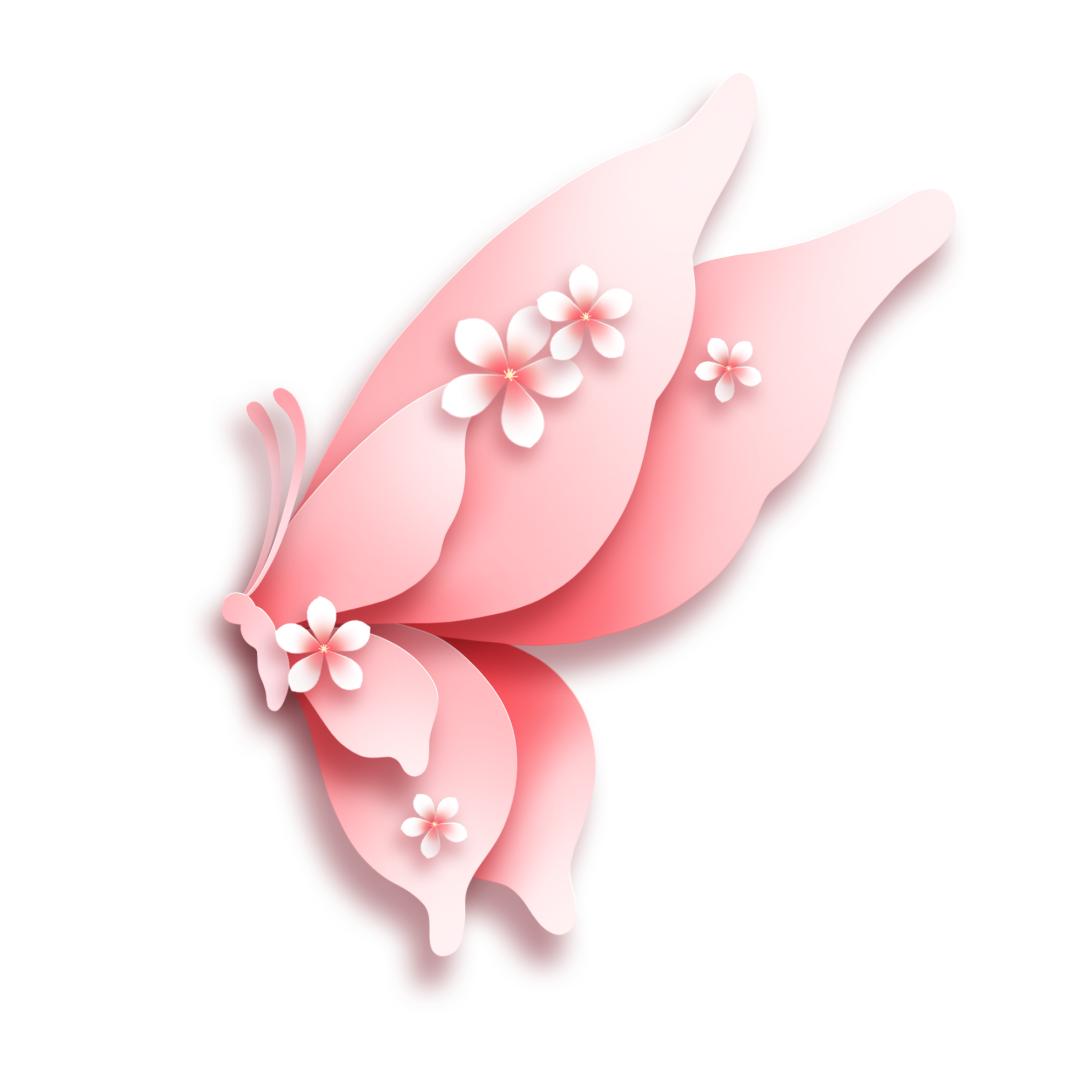 山西省妇女广场舞比赛_2025年全国妇女广场舞大赛山西站_健身操下载