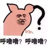 计步器哪个能领红包_支付宝红包玩法_春节集五福活动