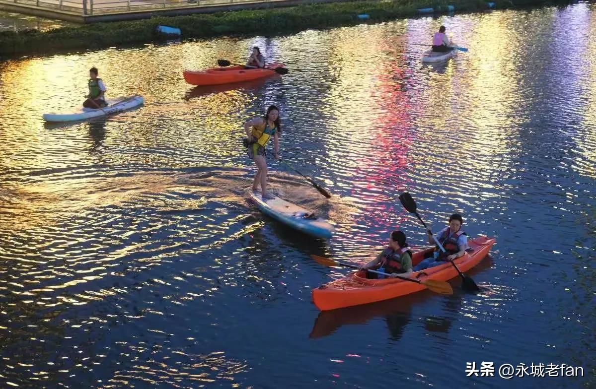 桨板运动技巧分享_新手如何选择桨板和桨叶_健身手套怎么选