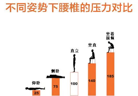 人体工学椅推荐_髋关节训练椅_学习椅选购