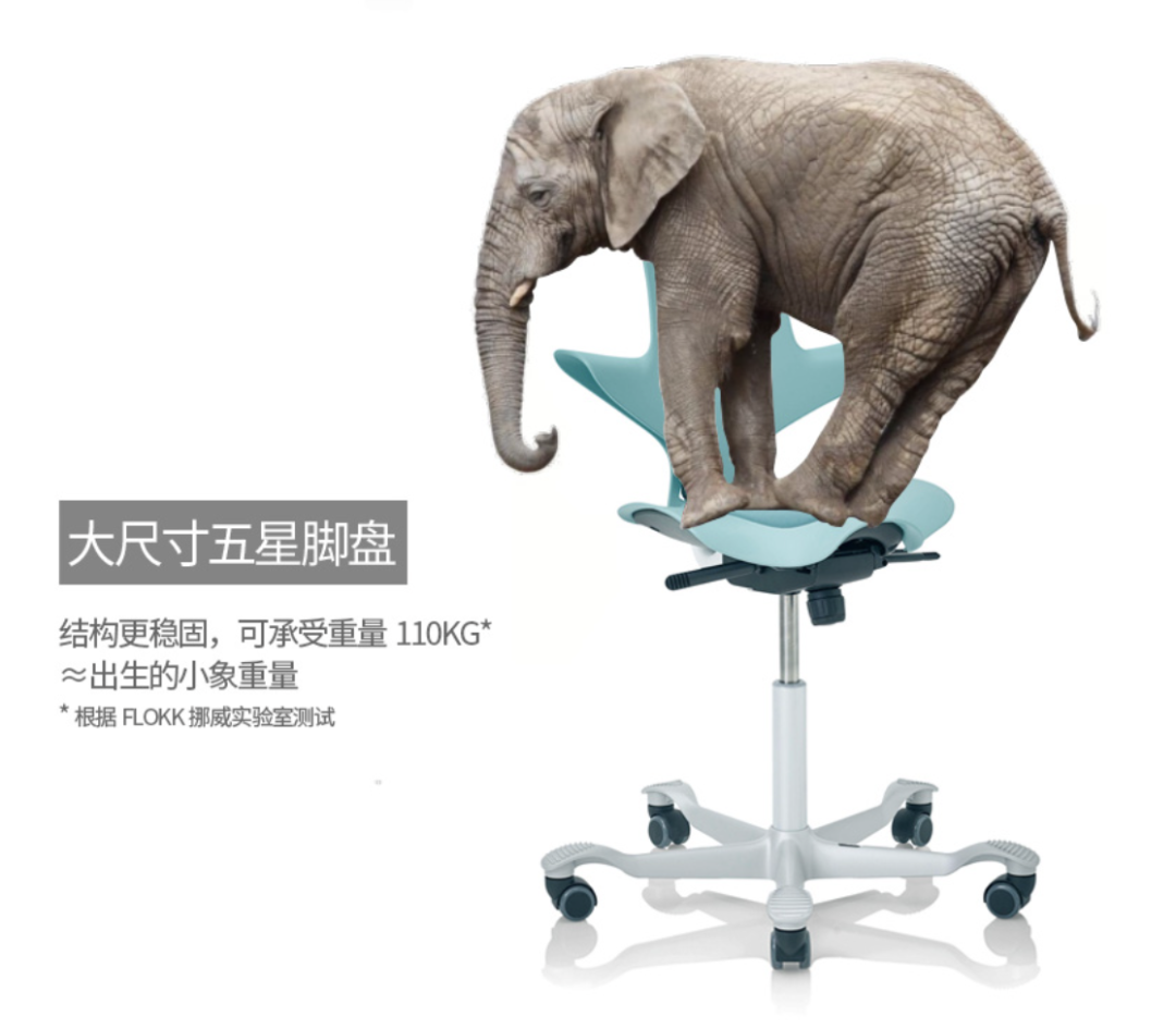 学习椅选购_髋关节训练椅_人体工学椅推荐