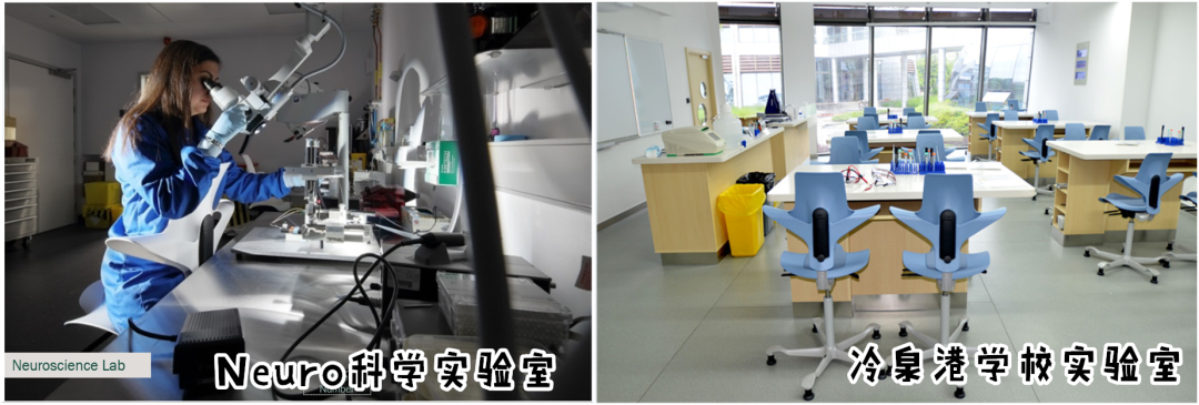 人体工学椅推荐_髋关节训练椅_学习椅选购