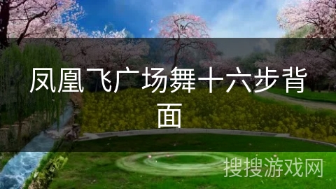yy漫画画免费读漫画下拉式阅读网页 凤凰飞广场舞十六步背面