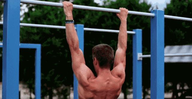 正握引体向上训练方法_健身训练手套_引体向上肌群训练