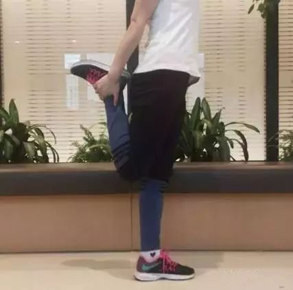 股四头肌训练椅_膝关节骨性关节炎发生机制_骨关节炎康复训练