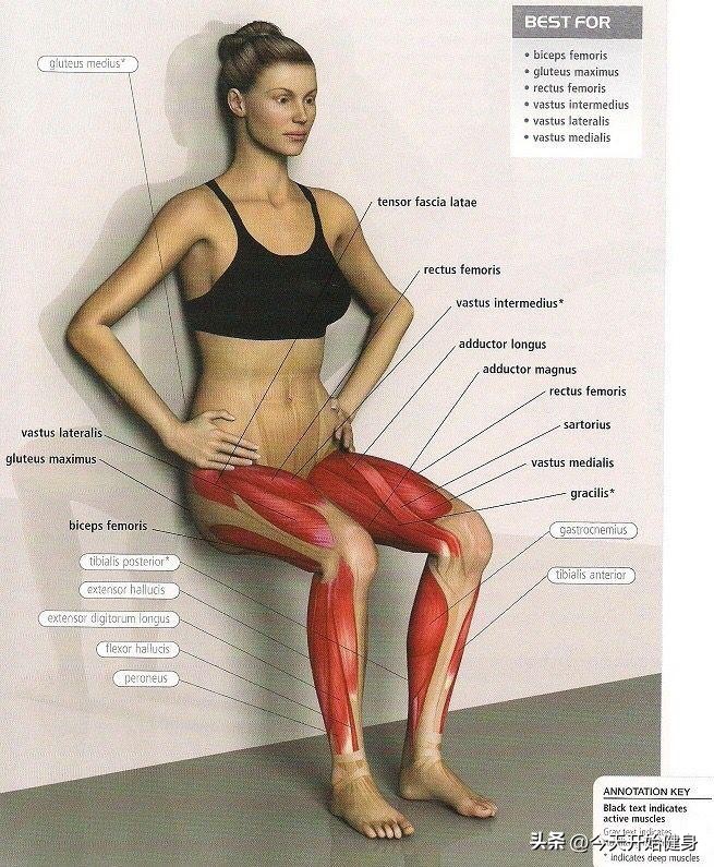 恶魔之椅燃脂塑形_靠墙蹲_感统训练单腿椅