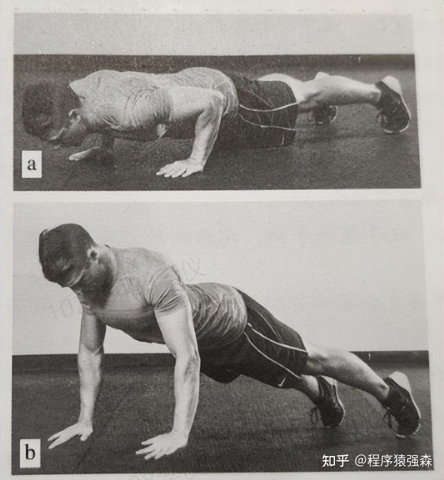 腹肌训练与核心训练_力量综合训练器_核心与腹肌的区别