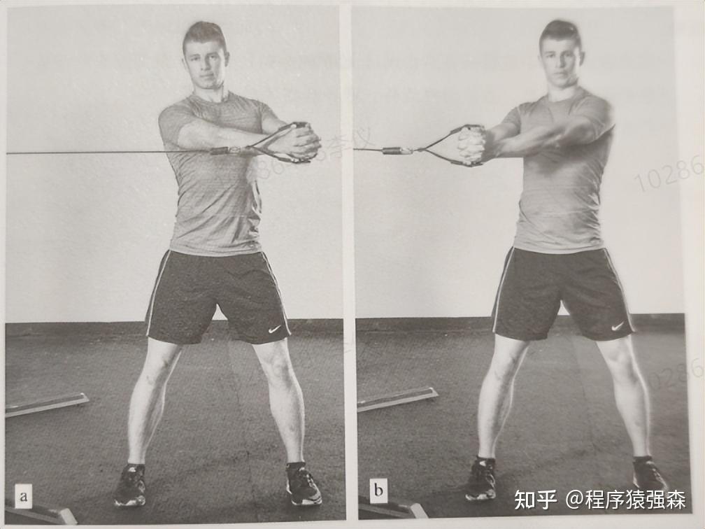 力量综合训练器_核心与腹肌的区别_腹肌训练与核心训练