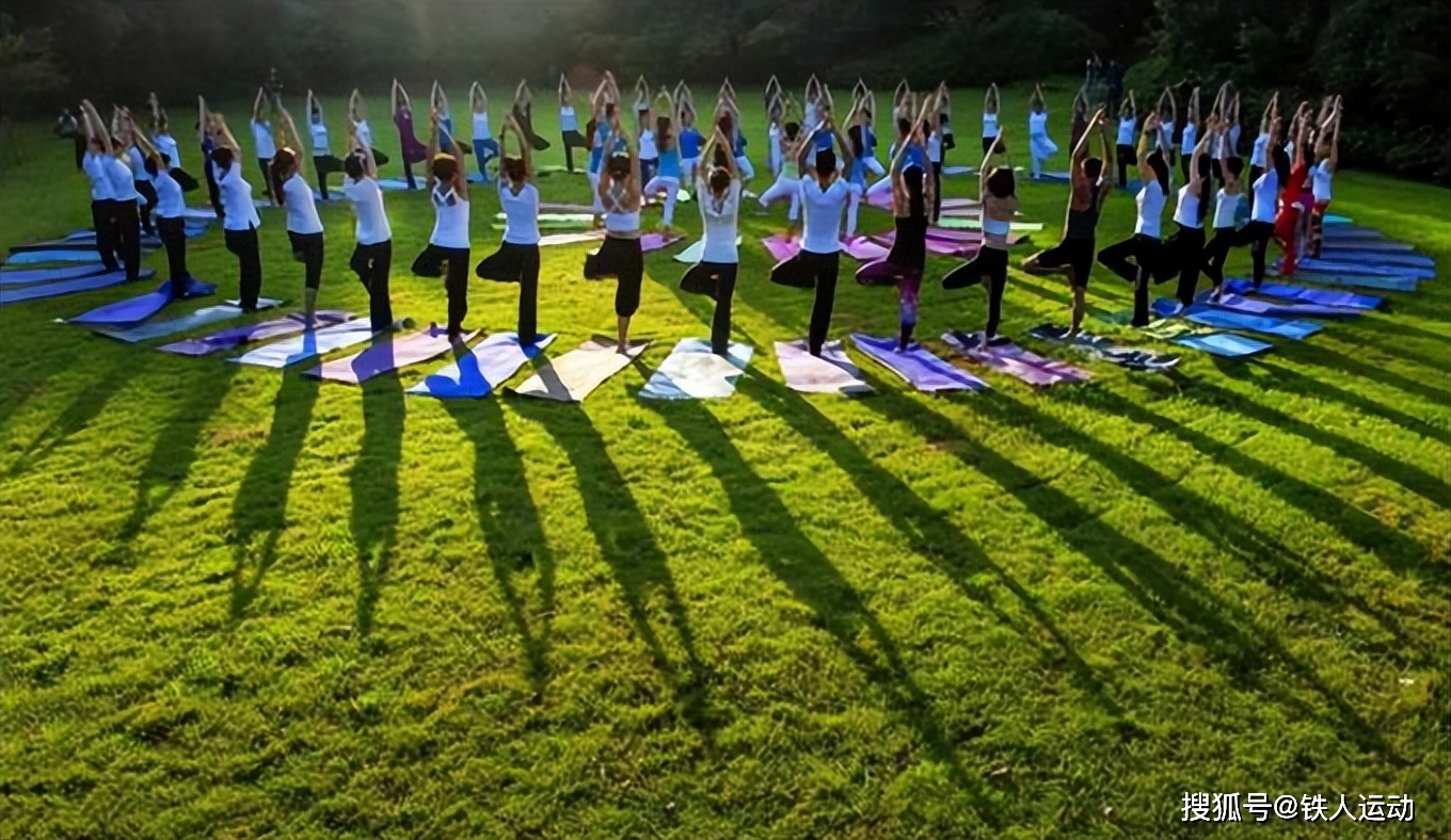 适合瑜伽小白的简单瑜伽招式_初学者瑜伽入门动作_夏日健身 瑜伽