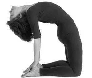 常见瑜伽体式功效_夏日健身 瑜伽_瑜伽体式功能介绍