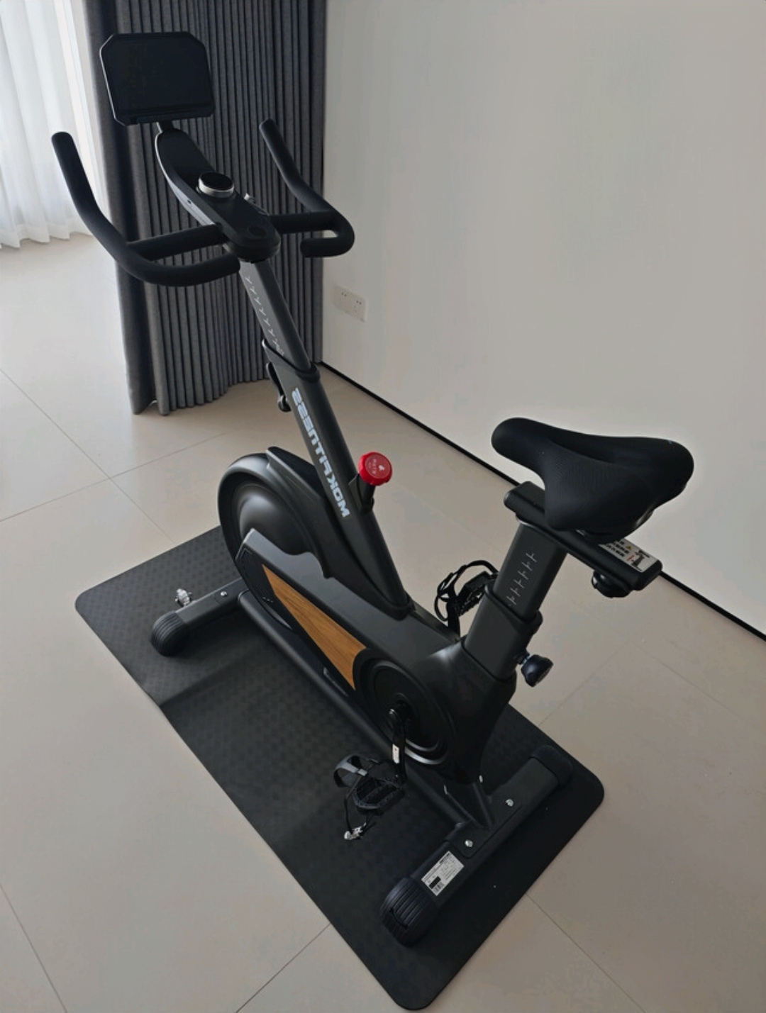 家用跑步机什么牌子好_飞轮重量与磁控系统_动感单车选购指南