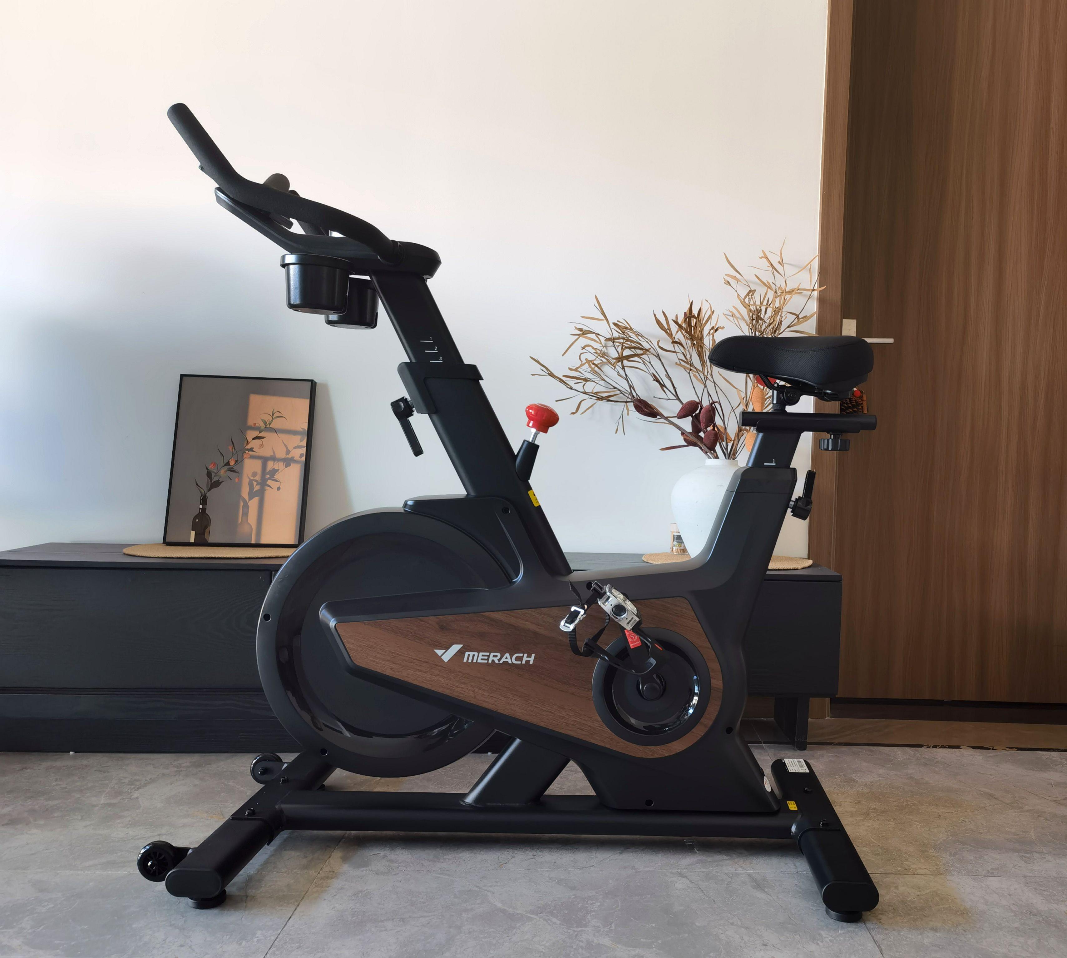 飞轮重量与磁控系统_家用跑步机什么牌子好_动感单车选购指南