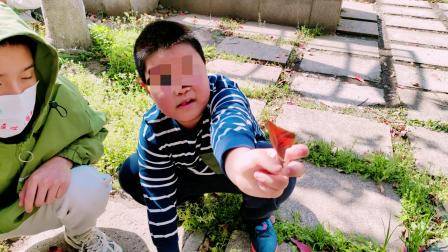 武汉心之初特教学校-户外游戏活动:点亮特殊孩子们的多彩世界-在特殊教育的道路上，每一个小小的进步都值得被关注和鼓励。