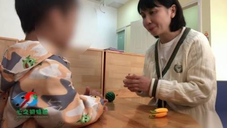 武汉自闭症儿童家庭康复课题：物品的特点-目标：孩子能指认和描述物品的外观形状，颜色等特征。提高孩子的观察力，语言理解能力和表达能力-来源：心之初特殊教育学校