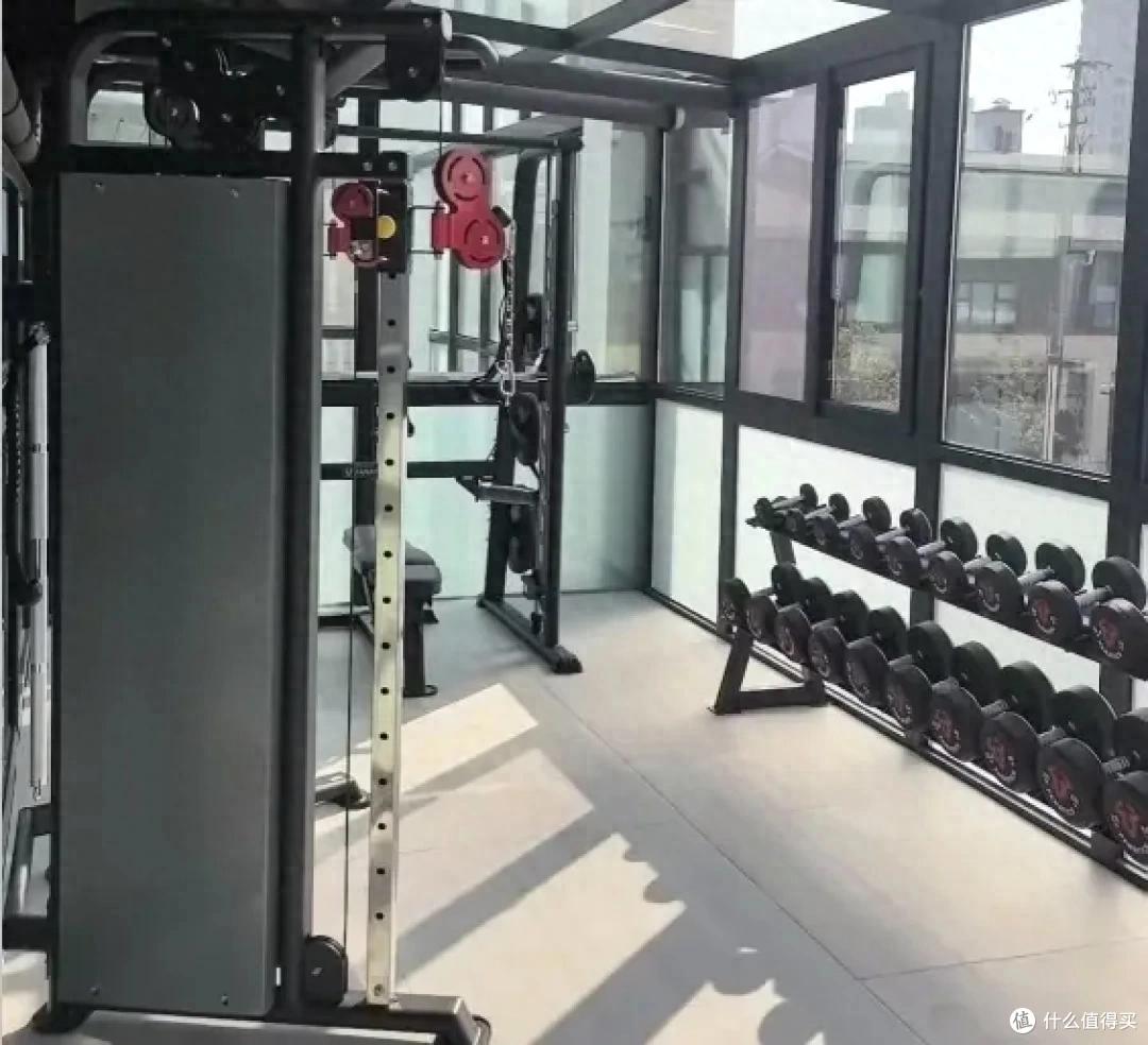 漫画 居家健身性价比王者：哑铃 + 哑铃凳怎么选？这篇选购干货说清楚