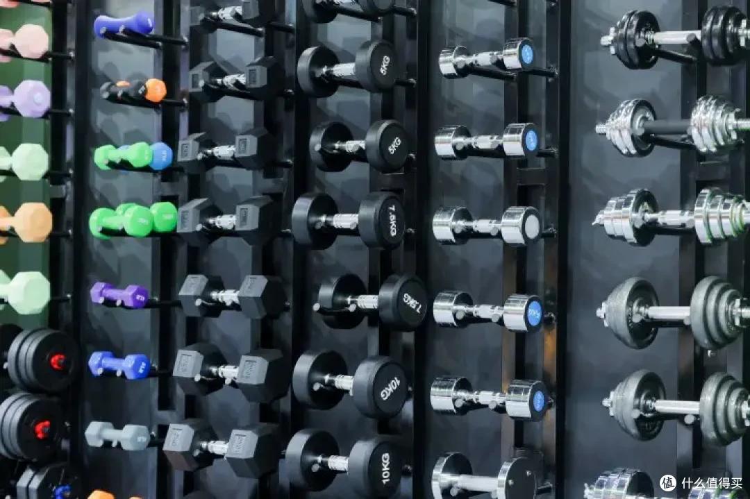 唐力龙哑铃健身手套_哑铃训练计划_家庭健身器械