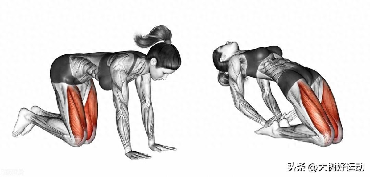 女神漫画免费登录入口页面弹窗 股四头肌锻炼法：四步塑造强健双腿