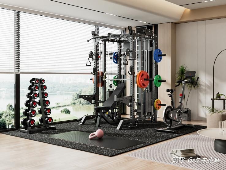 三合一史密斯架选购指南_综合训练器_家用商用健身器材对比