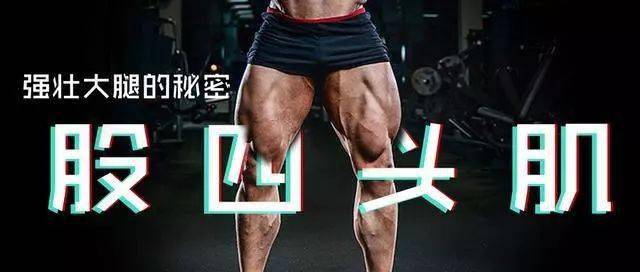 yy漫画画免费读漫画下拉式 大腿肌肉怎么练?3个锻炼股四头肌的经典动作