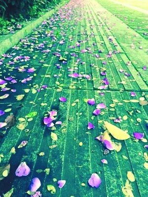 微信运动步数多少算健康_春雨计步器如何卡步数_微信运动步数排行