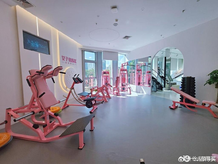 公司健身房设备配置_酒店健身器材选择_家用综合训练器 配重