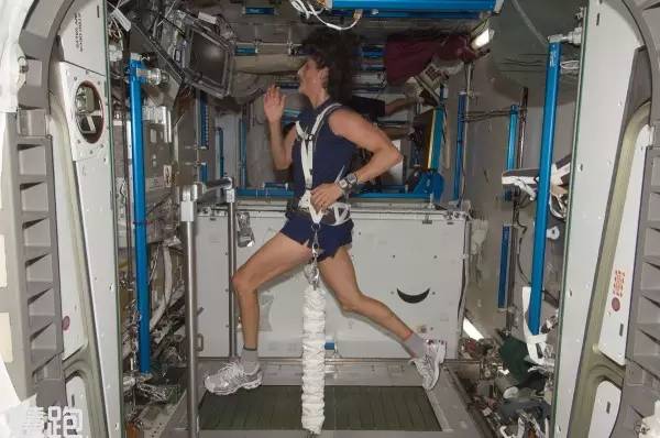 网上买跑步机什么牌子好_家用跑步机_高端跑步机