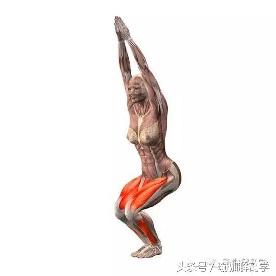 yy漫画画免费读漫画下拉式在线观看 幻椅式（深蹲）的小改变，大不同！