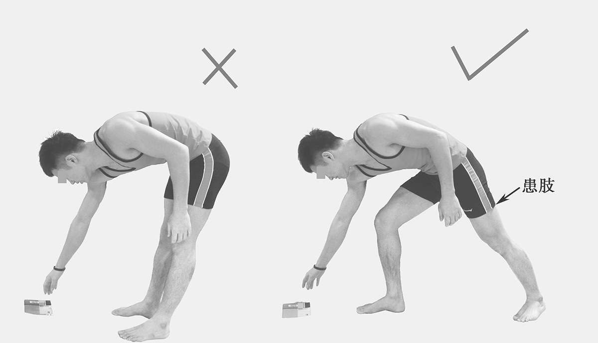 髋关节疾病护理路径_髋关节训练椅_髋关节疾病病人护理方案